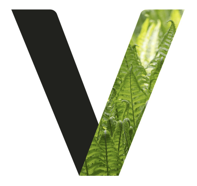Large V